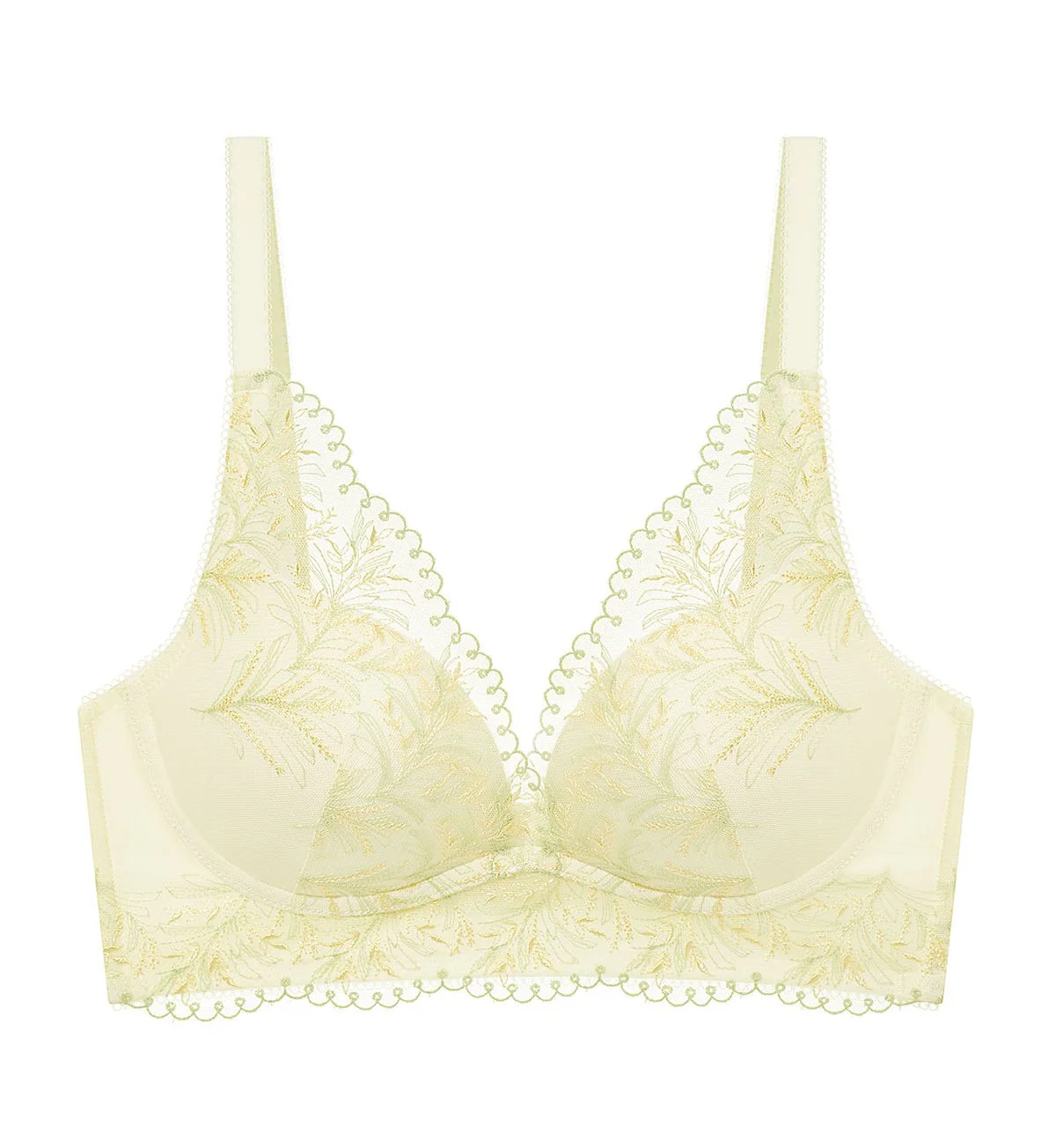 Aqua Lush Non-Wired Push Up Deep V Bra