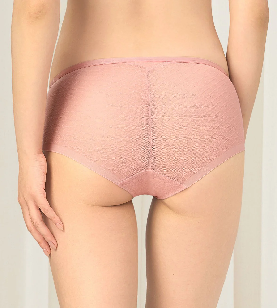 Signature Sheer Hipster - Image 3